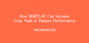 RHIZO-ID can increase crop yield