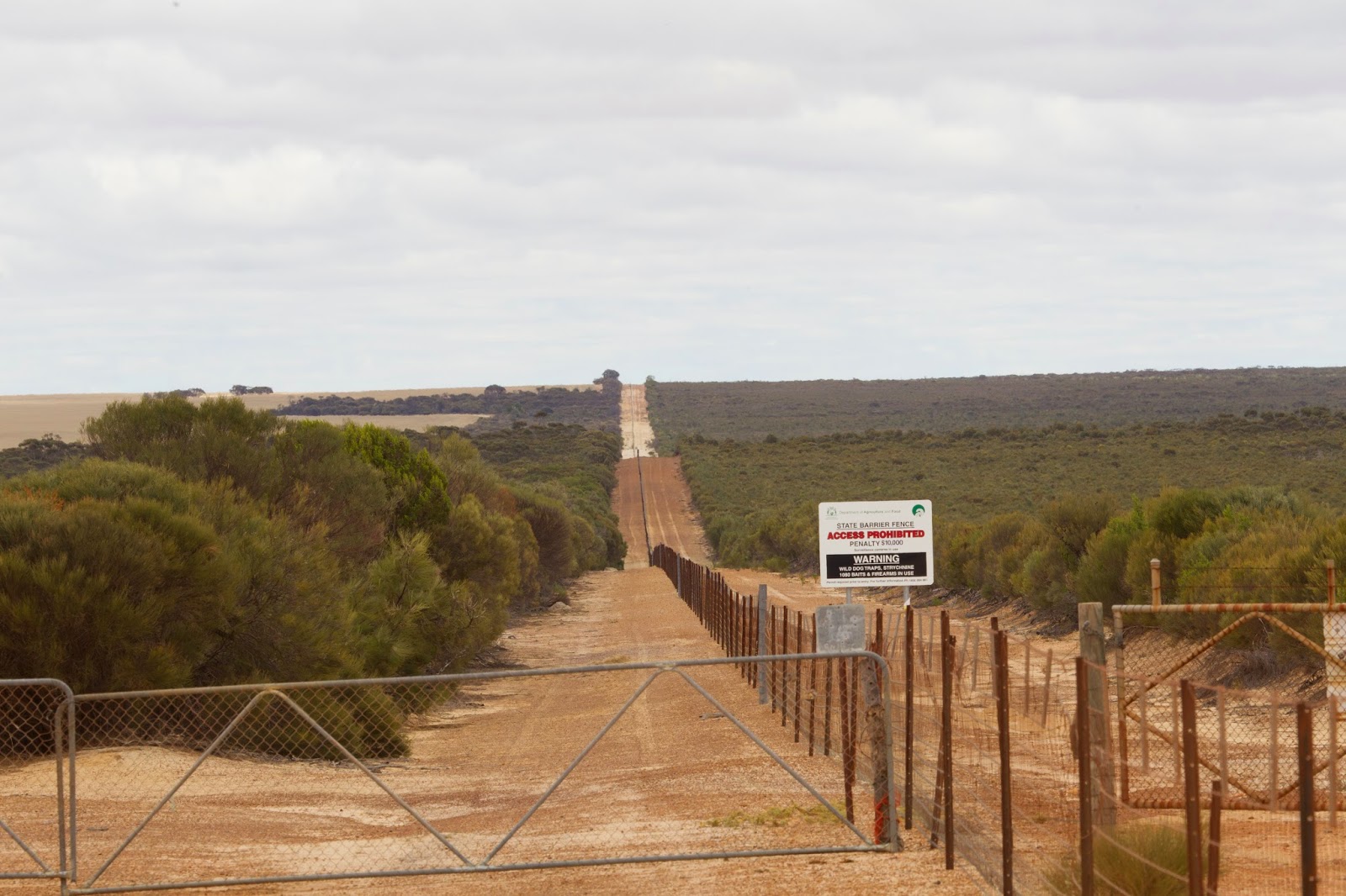 Not just a rabbit proof fence