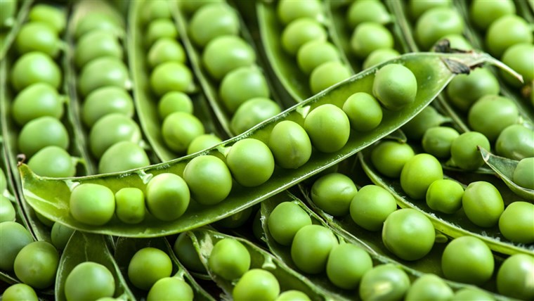 Are Peas the next best thing in the plant-based protein game?